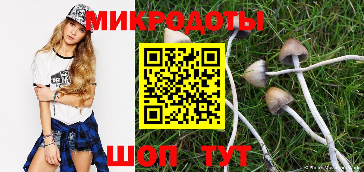 Галлюциногенные грибы Psilocybe  Псилоцибиновые грибы ЛСД  Тамбов  где купить наркотик  Вход с VPN 